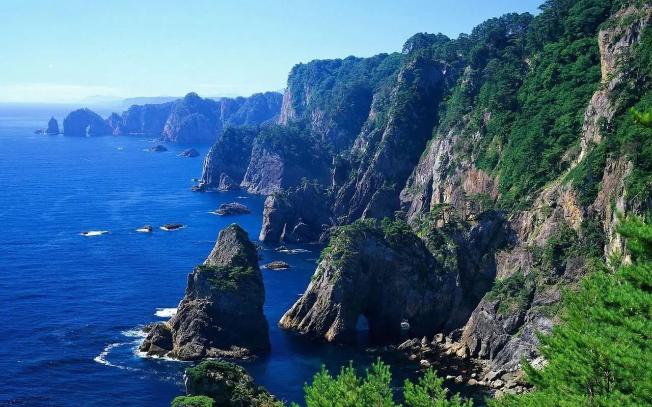 智能全自动智能化